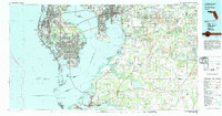 preview thumbnail of historical topo map of Hillsborough County, FL in 1981