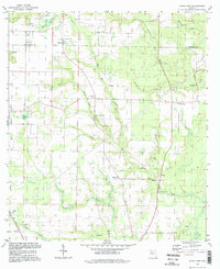 Download a high-resolution, GPS-compatible USGS topo map for Altha East, FL (1998 edition)