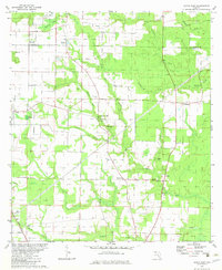 Download a high-resolution, GPS-compatible USGS topo map for Altha East, FL (1982 edition)