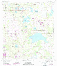 Download a high-resolution, GPS-compatible USGS topo map for Alturas, FL (1988 edition)