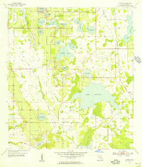Download a high-resolution, GPS-compatible USGS topo map for Alturas, FL (1956 edition)