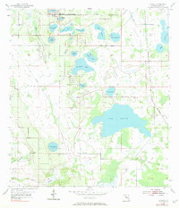 Download a high-resolution, GPS-compatible USGS topo map for Alturas, FL (1984 edition)