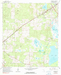 Download a high-resolution, GPS-compatible USGS topo map for Arredondo, FL (1990 edition)