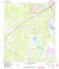 Download a high-resolution, GPS-compatible USGS topo map for Arredondo, FL (1993 edition)