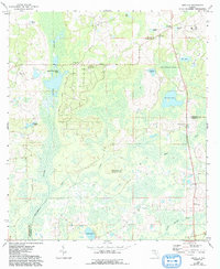 Download a high-resolution, GPS-compatible USGS topo map for Ashville, FL (1993 edition)