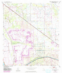 Download a high-resolution, GPS-compatible USGS topo map for Barley Barber Swamp, FL (1993 edition)