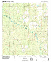 Download a high-resolution, GPS-compatible USGS topo map for Barrineau Park, FL (1999 edition)