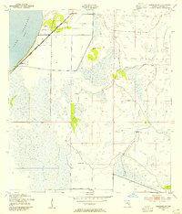 Download a high-resolution, GPS-compatible USGS topo map for Basinger SW, FL (1954 edition)