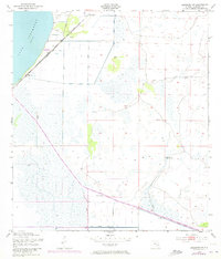 Download a high-resolution, GPS-compatible USGS topo map for Basinger SW, FL (1973 edition)