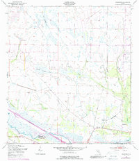 Download a high-resolution, GPS-compatible USGS topo map for Basinger, FL (1988 edition)