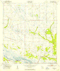 Download a high-resolution, GPS-compatible USGS topo map for Basinger, FL (1954 edition)