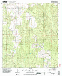 Download a high-resolution, GPS-compatible USGS topo map for Bay Springs, FL (1998 edition)