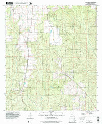 Download a high-resolution, GPS-compatible USGS topo map for Bay Springs, FL (1998 edition)