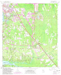 Download a high-resolution, GPS-compatible USGS topo map for Bayard, FL (1981 edition)