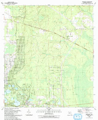 Download a high-resolution, GPS-compatible USGS topo map for Baywood, FL (1993 edition)