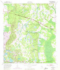 Download a high-resolution, GPS-compatible USGS topo map for Baywood, FL (1972 edition)