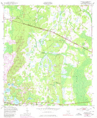Download a high-resolution, GPS-compatible USGS topo map for Baywood, FL (1980 edition)