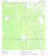 Download a high-resolution, GPS-compatible USGS topo map for Belle Meade NE, FL (1987 edition)
