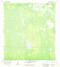 Download a high-resolution, GPS-compatible USGS topo map for Belle Meade NE, FL (1968 edition)
