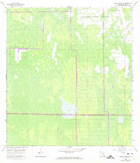 Download a high-resolution, GPS-compatible USGS topo map for Belle Meade NE, FL (1974 edition)