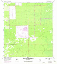 Download a high-resolution, GPS-compatible USGS topo map for Belle Meade NW, FL (1974 edition)