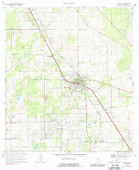 Download a high-resolution, GPS-compatible USGS topo map for Belleview, FL (1988 edition)