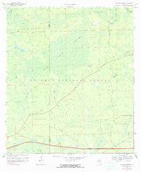 Download a high-resolution, GPS-compatible USGS topo map for Big Gum Swamp, FL (1990 edition)