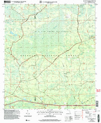 Download a high-resolution, GPS-compatible USGS topo map for Big Gum Swamp, FL (2006 edition)