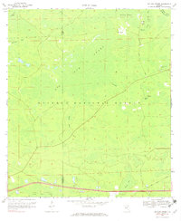 Download a high-resolution, GPS-compatible USGS topo map for Big Gum Swamp, FL (1971 edition)
