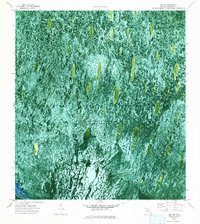 Download a high-resolution, GPS-compatible USGS topo map for Big Lake, FL (1993 edition)