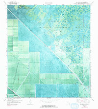 Download a high-resolution, GPS-compatible USGS topo map for Big Mound South, FL (1993 edition)