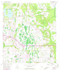 Download a high-resolution, GPS-compatible USGS topo map for Bithlo, FL (1981 edition)