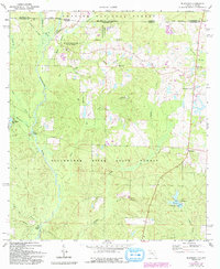 Download a high-resolution, GPS-compatible USGS topo map for Blackman, FL (1993 edition)