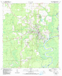 preview thumbnail of historical topo map of Blountstown, FL in 1990