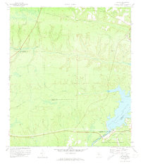 Download a high-resolution, GPS-compatible USGS topo map for Bloxham, FL (1973 edition)