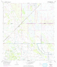 Download a high-resolution, GPS-compatible USGS topo map for Bluefield, FL (1993 edition)