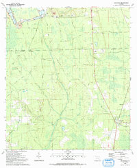 preview thumbnail of historical topo map of Putnam County, FL in 1991