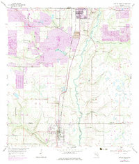 Download a high-resolution, GPS-compatible USGS topo map for Bowling Green, FL (1983 edition)