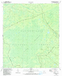 preview thumbnail of historical topo map of Wakulla County, FL in 1990