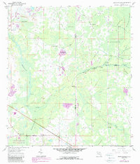 Download a high-resolution, GPS-compatible USGS topo map for Branchborough, FL (1987 edition)