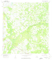 Download a high-resolution, GPS-compatible USGS topo map for Branchborough, FL (1962 edition)