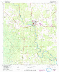Download a high-resolution, GPS-compatible USGS topo map for Branford, FL (1993 edition)