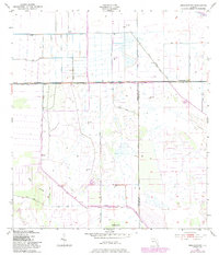 Download a high-resolution, GPS-compatible USGS topo map for Brighton NW, FL (1983 edition)