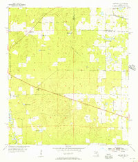 Download a high-resolution, GPS-compatible USGS topo map for Bronson NE, FL (1956 edition)