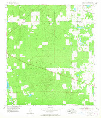 Download a high-resolution, GPS-compatible USGS topo map for Bronson NE, FL (1968 edition)