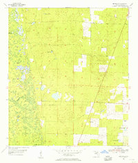 Download a high-resolution, GPS-compatible USGS topo map for Bronson SE, FL (1956 edition)
