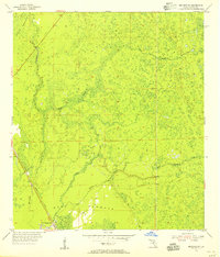 Download a high-resolution, GPS-compatible USGS topo map for Bronson SW, FL (1956 edition)