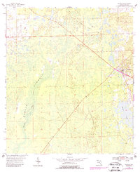 Download a high-resolution, GPS-compatible USGS topo map for Bronson, FL (1988 edition)