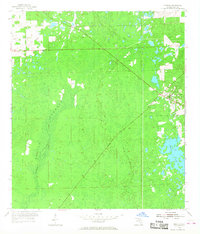 Download a high-resolution, GPS-compatible USGS topo map for Bronson, FL (1958 edition)