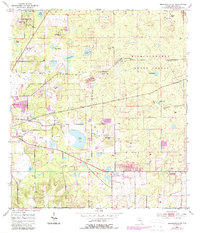 Download a high-resolution, GPS-compatible USGS topo map for Brooksville SE, FL (1988 edition)